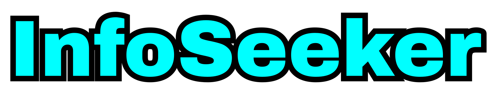 InfoSeeker